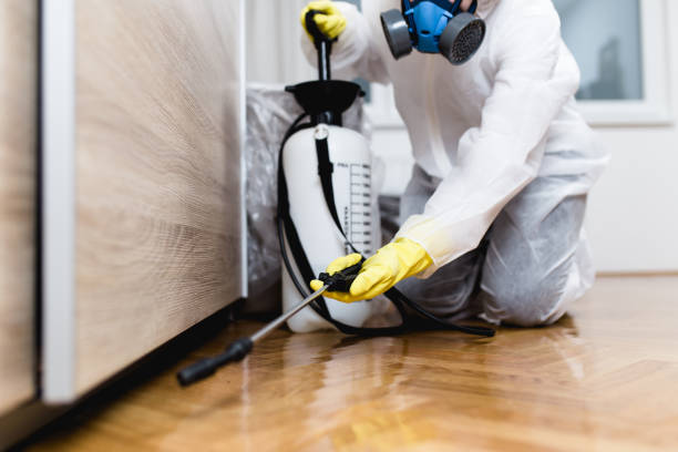 Best Local Pest Control Services  in Hanover, IN