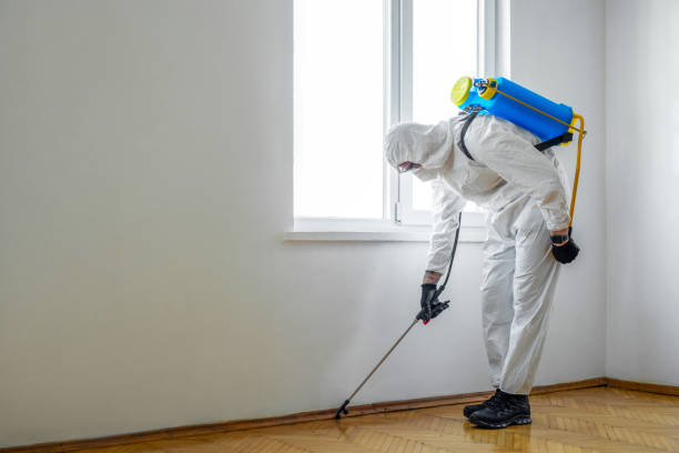 Best Affordable Pest Control Services  in Hanover, IN