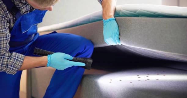 Best Bed Bug Extermination  in Hanover, IN