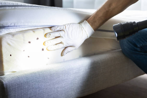 Best Pest Inspection Near Me  in Hanover, IN