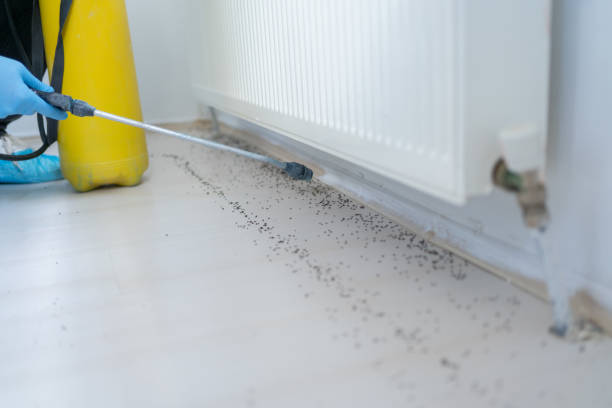 Best Affordable Pest Control Services  in Hanover, IN