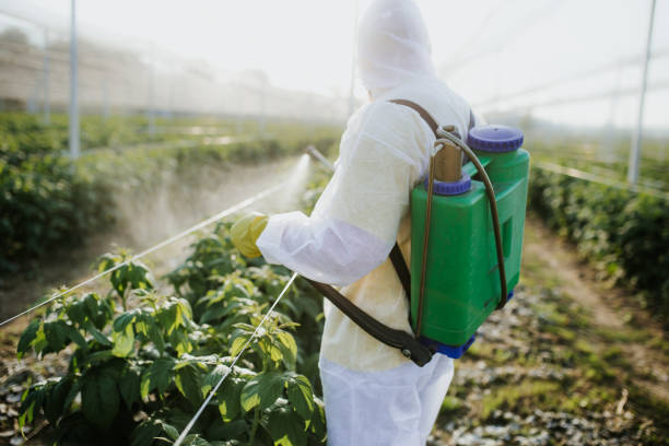 Best Commercial Pest Control Services  in Hanover, IN